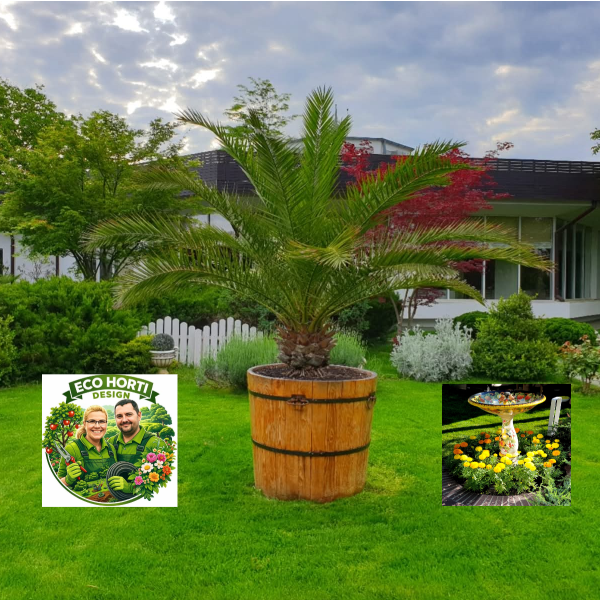 Oferta ECO HORTI DESIGN SRL pentru SNPPC